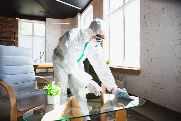 Best Commercial Mold Inspection in South Wenatchee, WA